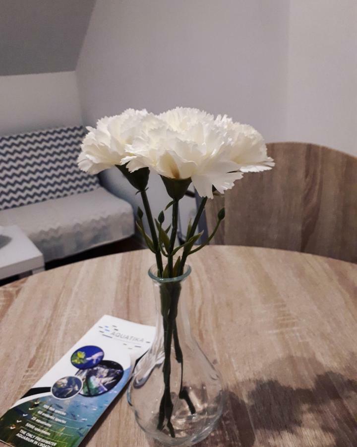 Tusilovic Apartman Lena מראה חיצוני תמונה