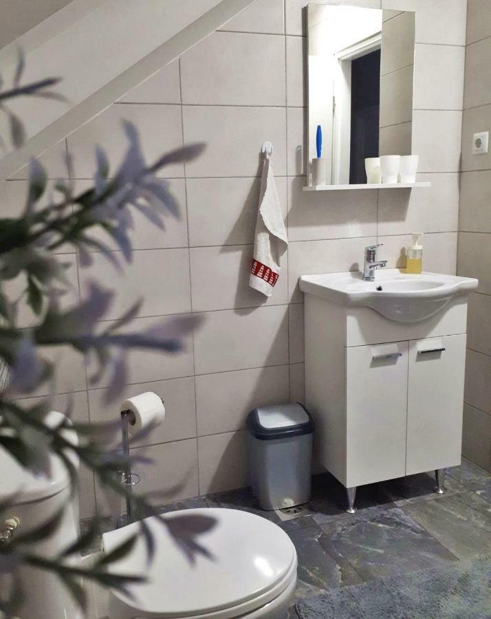 Tusilovic Apartman Lena מראה חיצוני תמונה