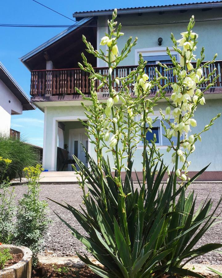 Tusilovic Apartman Lena מראה חיצוני תמונה